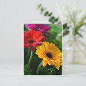 Gerberas Postkarte (Stehend Vorderseite)