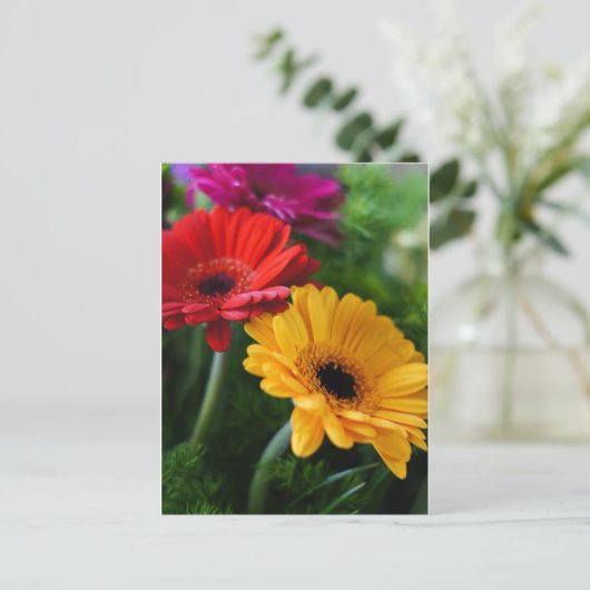 Gerberas Postkarte (Stehend Vorderseite)