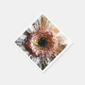 GERBERAS SERVIETTE (Ecke)