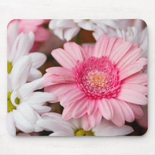 Gerberas und Chrysanthemas Mousepad (Vorne)