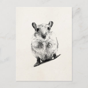 Gerbil Baby Animal Illustration Pet Gerbils Postkarte