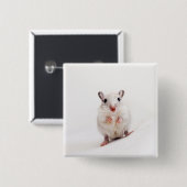 Gerbil-Baby-tierische niedliche Button (Vorne & Hinten)