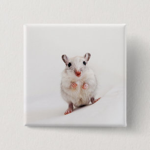 Gerbil-Baby-tierische niedliche Button
