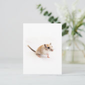 Gerbil Cute Baby Animal Pet Gerbils Template Postkarte (Stehend Vorderseite)