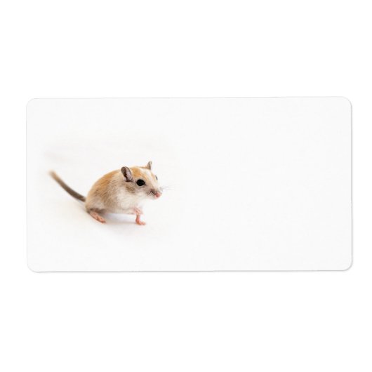 Gerbil Niedlich Baby Animal Pet Gerbils Template (Vorne)