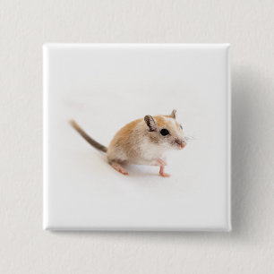 Gerbil Niedlich Baby Pet Gerbils Template Button