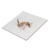 Gerbil Niedlich Baby Pet Gerbils Template Fliese (Seite)
