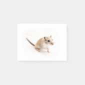 Gerbil Niedlich Baby Pet Gerbils Template Post-it Klebezettel (Vorderseite)