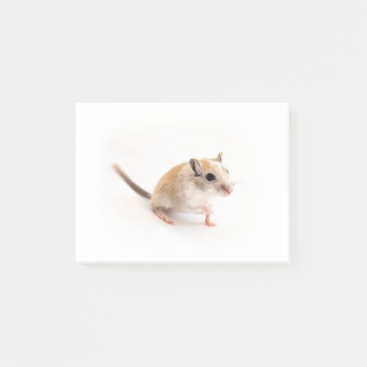 Gerbil Niedlich Baby Pet Gerbils Template Post-it Klebezettel (Vorderseite)