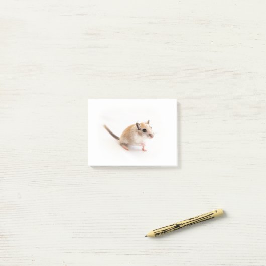 Gerbil Niedlich Baby Pet Gerbils Template Post-it Klebezettel (Auf Schreibtisch)