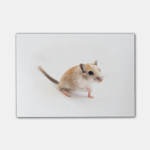 Gerbil Niedlich Baby Pet Gerbils Template Post-it Klebezettel