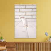 Gerbil stehend leinwanddruck (Insitu (Wohnzimmer))