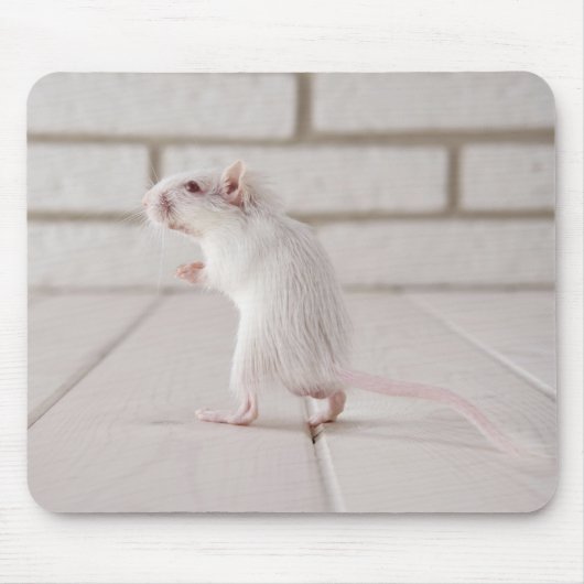 Gerbil stehend mousepad (Vorne)