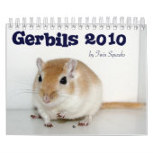 Gerbils 2010 kalender (Titelbild)