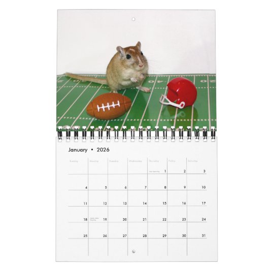 Gerbils tragen ein (Neuauflage) Kalender (Jan 2026)