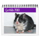 Gerbils tragen ein (Neuauflage) Kalender (Titelbild)