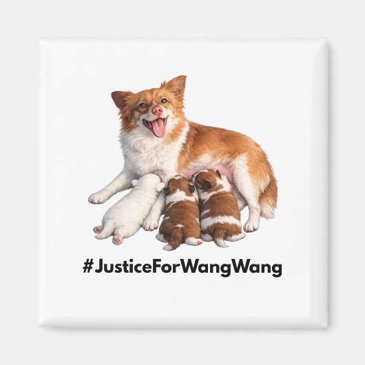 Gerechtigkeit für Wang Wang Magnet (Vorne)