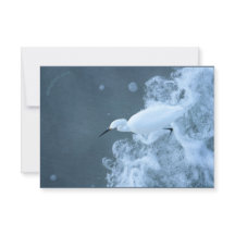 Gerecycelt Rinder Egret/Gulls