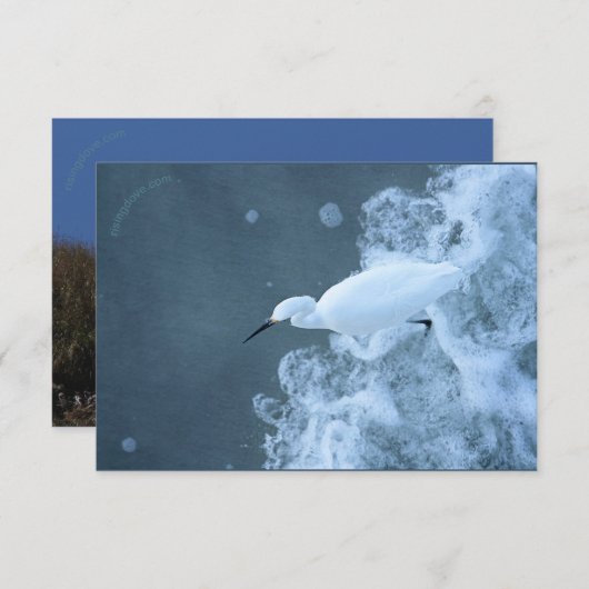 Gerecycelt Rinder Egret/Gulls Dankeskarte (Vorne/Hinten)