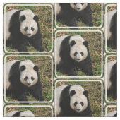 Gereizter Panda-Bär Stoff (Muster)