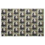 Gereizter Panda-Bär Stoff (Fat Quarter (45,7 x 55,9 cm))