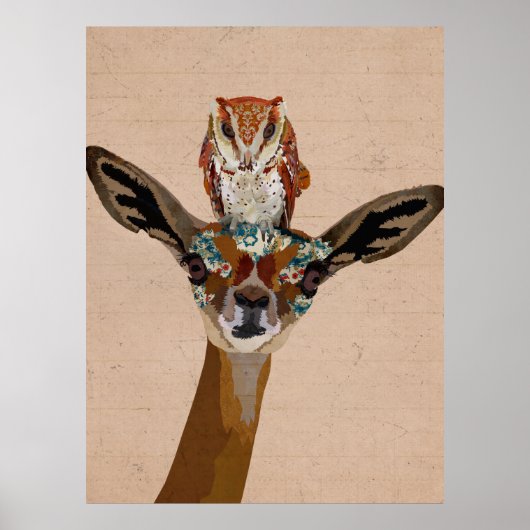 GERENUK & OWL POSTER (Vorne)