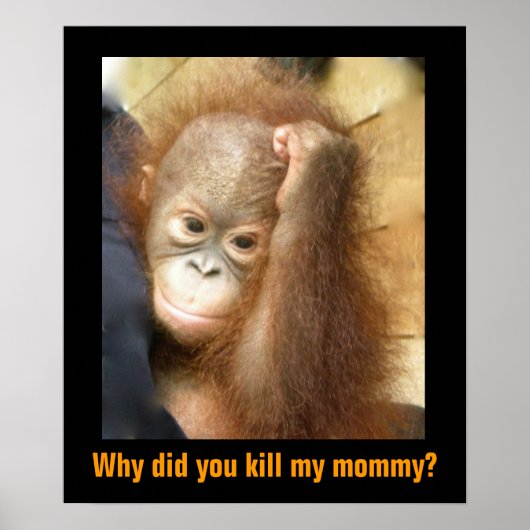Gerettet gefährdete Tierwelt Orphan Orangutan Poster (Vorne)