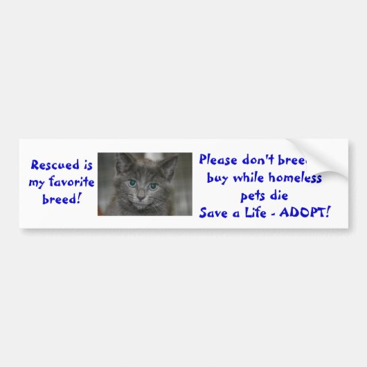 Gerettet meine Lieblingszucht züchtet nicht oder Autoaufkleber (Vorne)