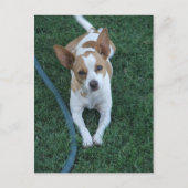 gerettet postkarte (Vorderseite)