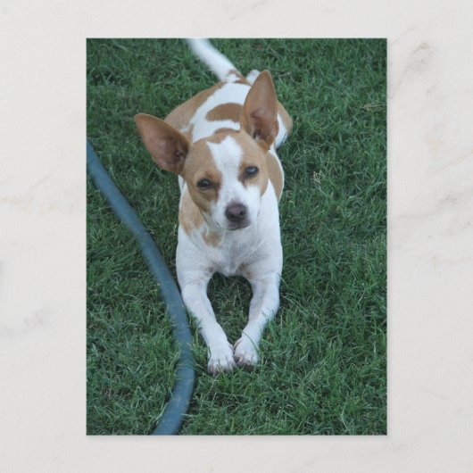 gerettet postkarte (Vorderseite)