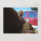 gerettet postkarte (Vorderseite)