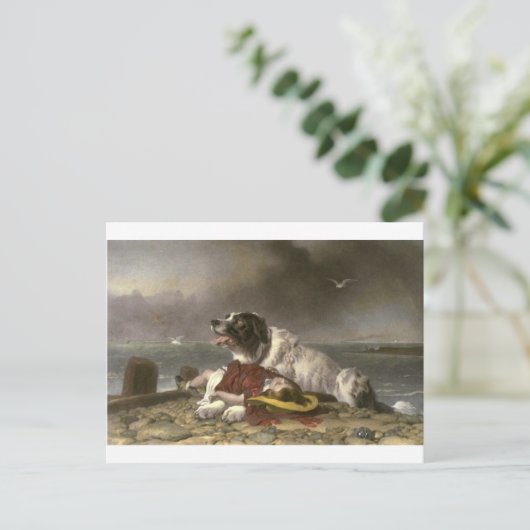 Gerettet von Edwin Henry Landseer Postkarte (Stehend Vorderseite)
