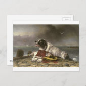 Gerettet von Edwin Henry Landseer Postkarte (Vorne/Hinten)