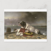 Gerettet von Edwin Henry Landseer Postkarte (Vorderseite)