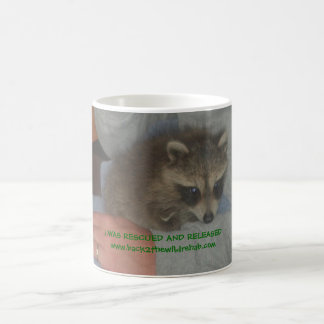 gerettete Baby Raccoon-Tasse Kaffeetasse