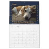 Gerettete Beagles 2026 Wandkalender (Jan 2027)