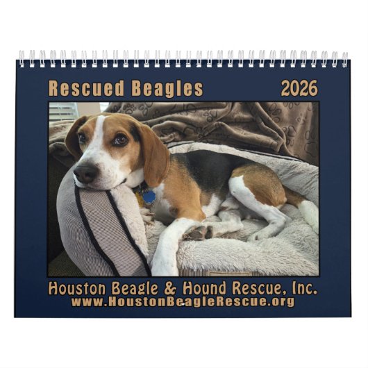 Gerettete Beagles 2026 Wandkalender (Titelbild)