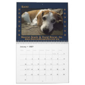 Gerettete Beagles 2026 Wandkalender (Jan 2027)