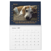 Gerettete Beagles 2026 Wandkalender (Jan 2027)