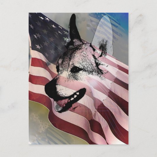 gerettete Haustiere und Tierärzte Postkarte (Vorderseite)