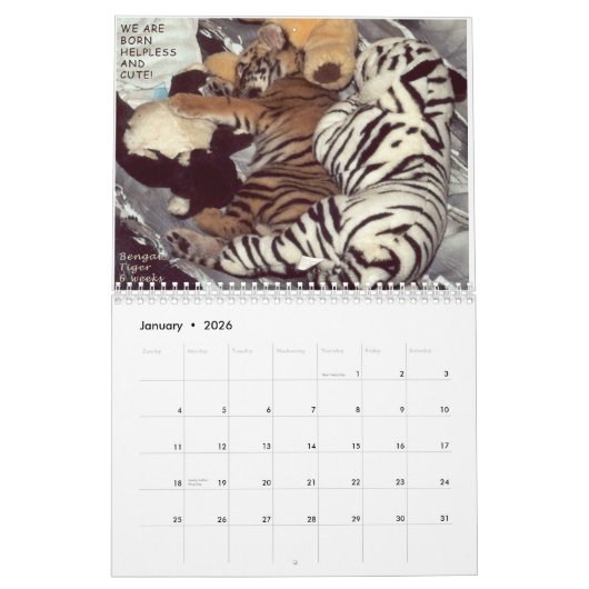 Gerettete Tiere - wir sind nicht Haustiere Kalender (Jan 2026)