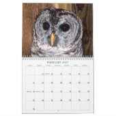 Geretteter Tier-Kalender Kalender (Feb 2027)