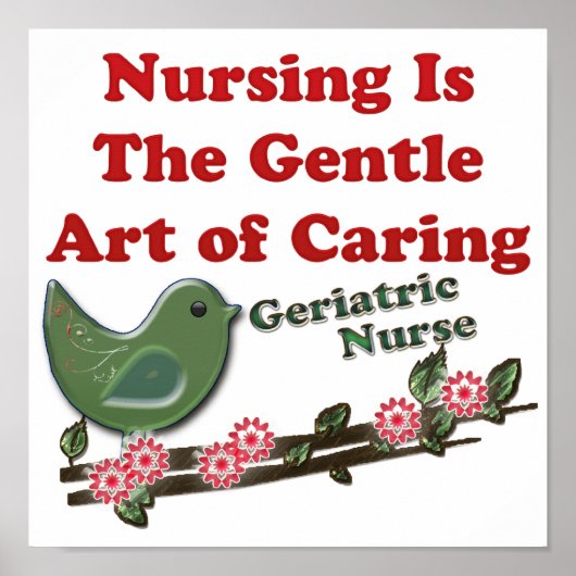 Geriatrische Krankenschwester Poster (Vorne)