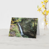 Gericht-Fälle Karte (Gelbe Blume)