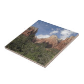 Gerichtshof der Patriarchen II im Zion-Nationalpar Fliese (Seite)