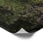 Gerichtshof der Patriarchen II im Zion-Nationalpar Poster (Ecke)