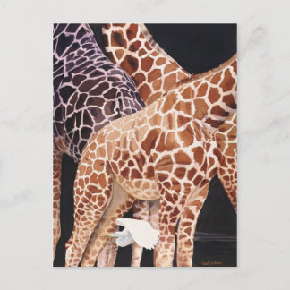 "geringe Clearance" Giraffe Wildlife Animal Water Postkarte