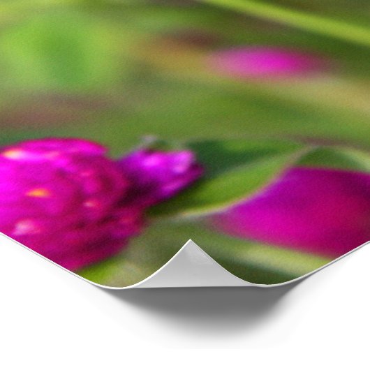 Geringe Feedbacks 1 Poster (Ecke)