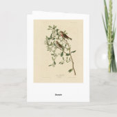 Geringere (gemeinsame) Rote Umfrage, Audubon-Vögel Karte (Rückseite)