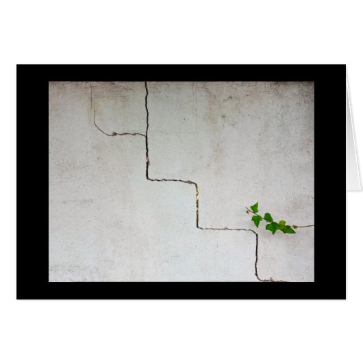 gerissen (Vorderseite (Horizontal))